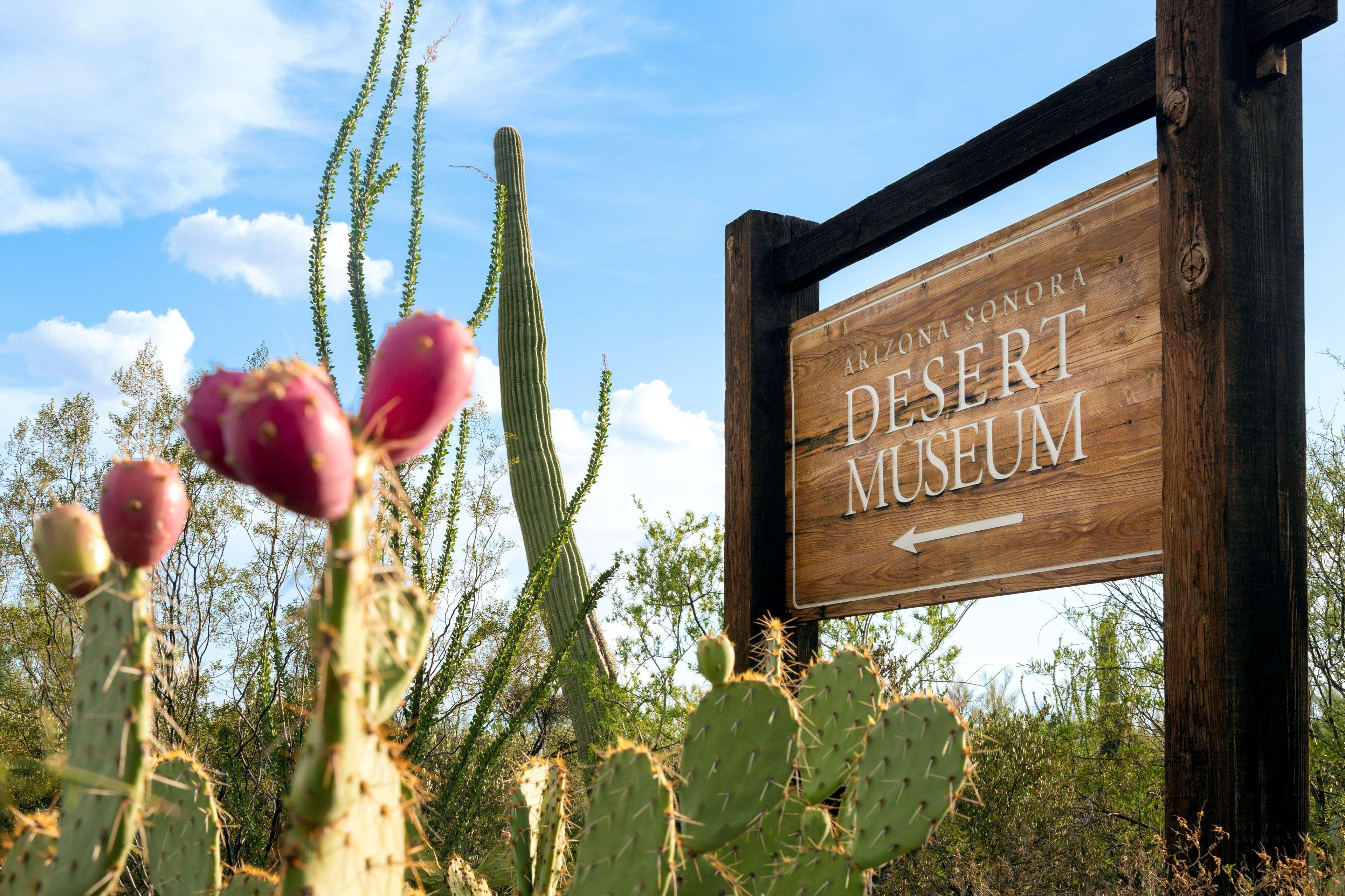 Hyatt Place Tucson Central Dış mekan fotoğraf